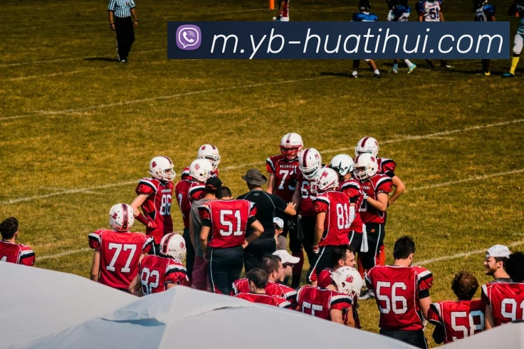 App Interface Preview